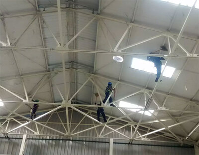 Warehouse & Industrial Cobweb Cleaning industrial factory roof truss cobweb cleaning