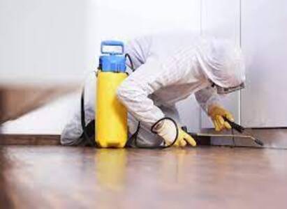 Pest Control and Termite images (11)