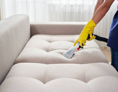 dry cleaning worker removing dirt from sofa indoors