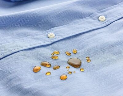 img 20251021 wa0008~2 (1)